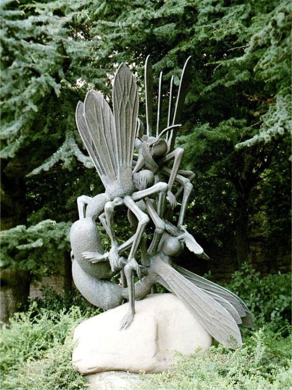 sanmarino 89768_25.jpg